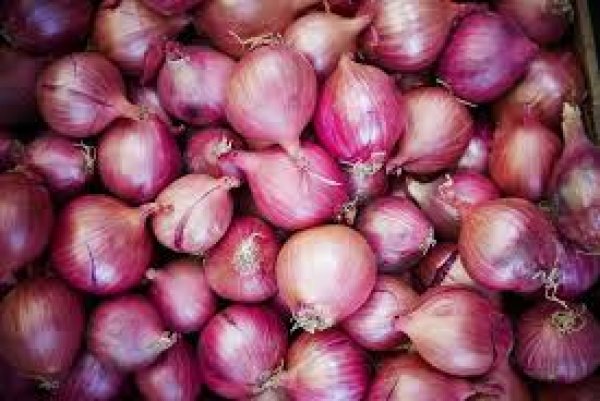بيان عن صادرات مصر من محصول البصل