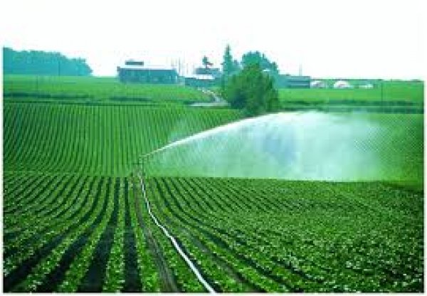 برتوكول تعاون بين الزراعة والفاو لتحديث استراتيجية التنمية الزراعية المستدامة