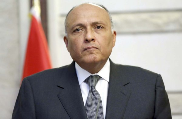 وزير الخارجية: مصر تعتزم تقديم كافة أشكال المساندة إلى مالي