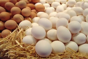 شعبة بيض المائدة: الأسعار ستصل إلى مستويات غير مسبوقة في الأسواق المحلية خلال الفترة المقبلة