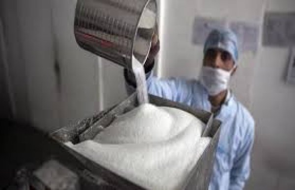 رئيس شعبة السكر: مصر تحتاج خط إنتاج جديد كل 3 سنوات لسد فجوة الاستهلاك