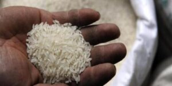 التموين: المخزون الاستراتيجي من الأرز يكفي 6.6 شهر والقمح 5 أشهر
