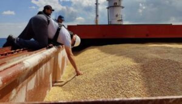 صادرات الحبوب الأوكرانية في موسم 2023-2024 بلغت 4.2 مليون طن حتى الآن