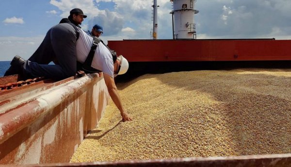 مجلس الناتو - أوكرانيا يجتمع يوم الأربعاء لبحث نقل الحبوب عبر البحر الأسود
