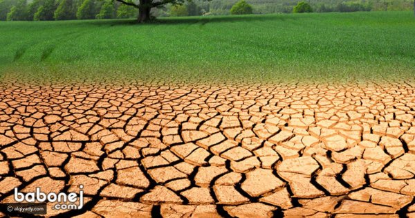 الزراعة:  مصر تحتفل باليوم العالمي لمكافحة التصحر