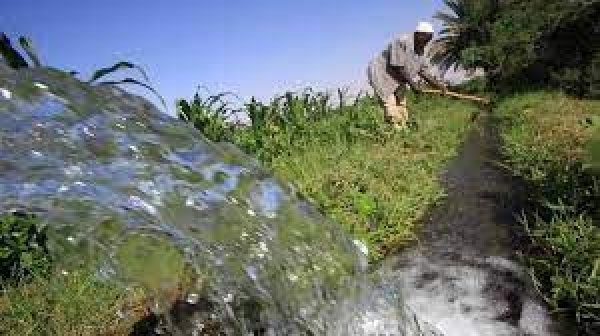 الري: نضع منظومة متكاملة لإدارة الموارد المائية 