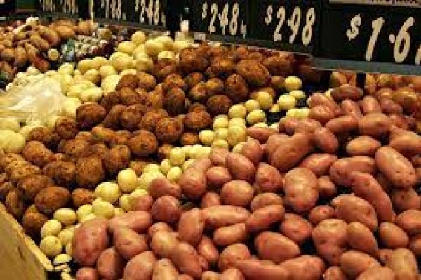 حظر تصدير البصل والبطاطس والفلفل الملون إلى الأردن 