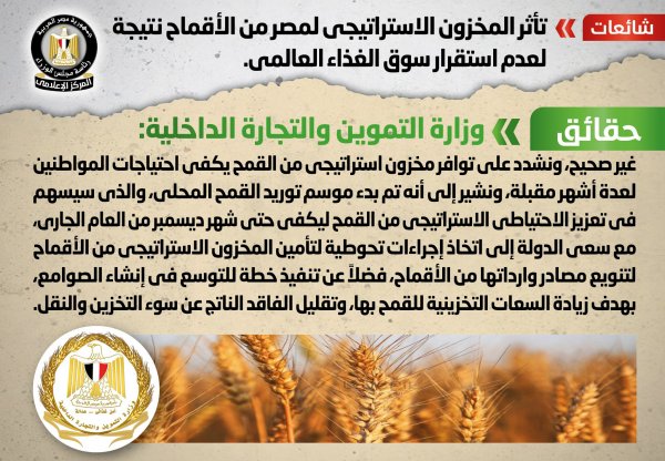 الحكومة تنفى تأثر المخزون الاستراتيجي لمصر من الأقماح نتيجة لعدم استقرار سوق الغذاء العالمي