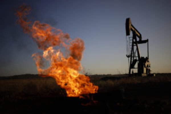 البترول: “لوك أويل” تستهدف استثمار 73 مليون دولار لتنمية احتياطيات “غرب عش الملاحة”