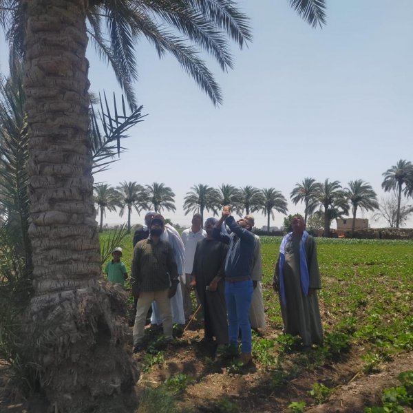 مستشار الزراعة: إستصلاح 456 ألف فدان في شمال سيناء و500 الف فدان فى جنوب توشكي