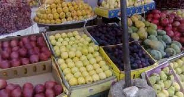 قفزة في صادرات الفاكهة المصرية إلى أوروبا خلال 2023