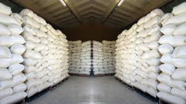 وزيرة التجارة : حظر إستيراد السكر الأبيض والخام لمدة 3 أشهر
